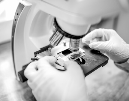 Oligonucleotides-Bioanalytics