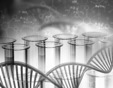 Oligonucleotides-Synthesis